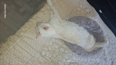 20240331_103831.jpg (1.43 МБ) 13045 просмотров 20240331_103831.jpg